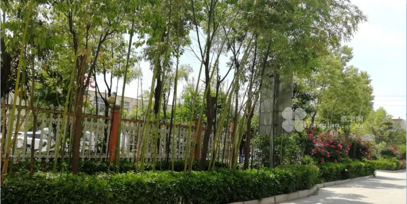 许昌市华济颐养院的实拍图片